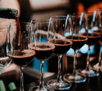 Wine tasting experience