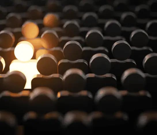 Wine cellar and team