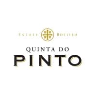 pinto Logo