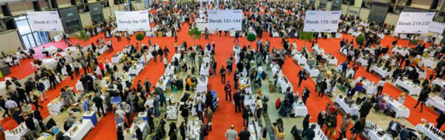 Calle and Simon attend Millésime Bio and Vinisud in the south of France