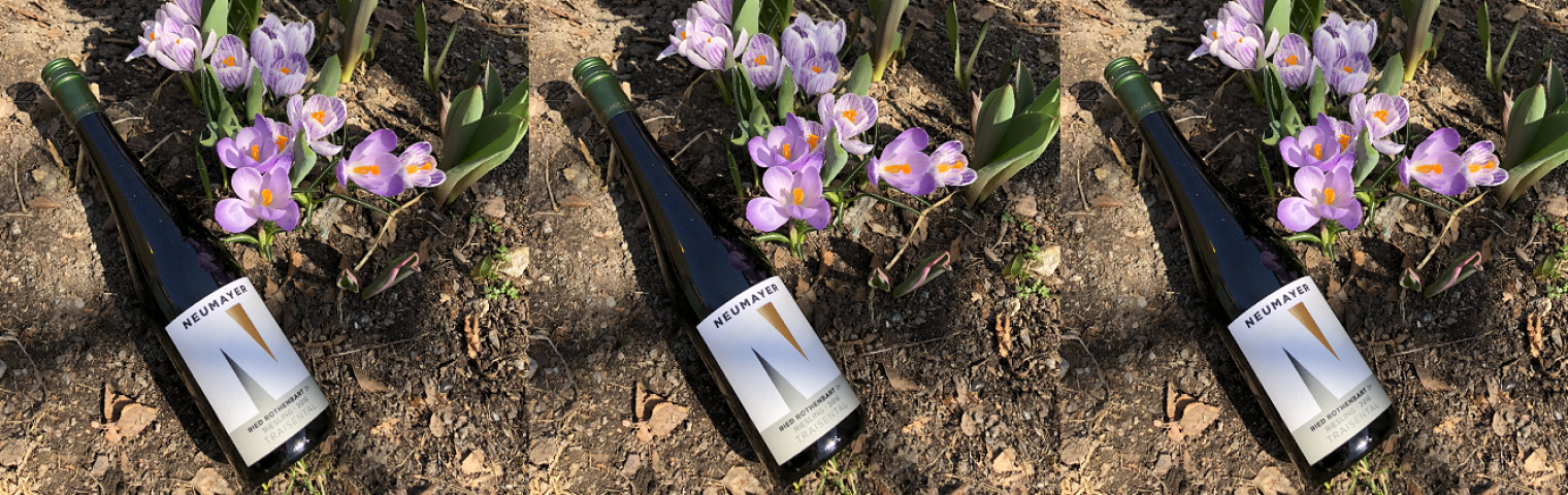 New Exclusive Listing at Systembolaget – Neumayer Erste Lage Riesling