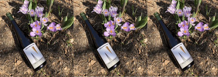 New Exclusive Listing at Systembolaget – Neumayer Erste Lage Riesling